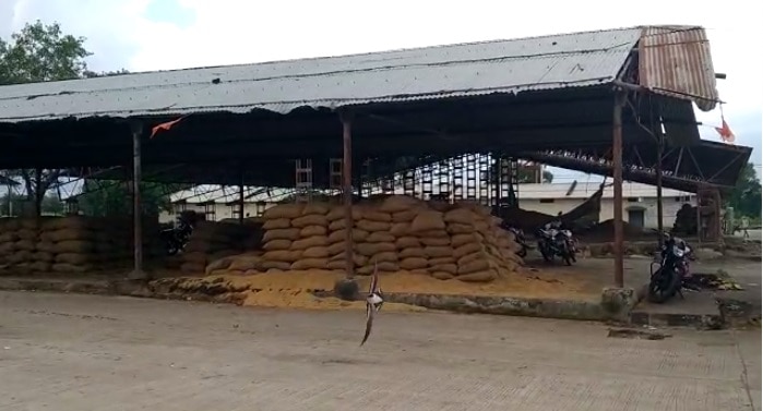 इंदौर: 50 करोड़ का अनाज घोटाला