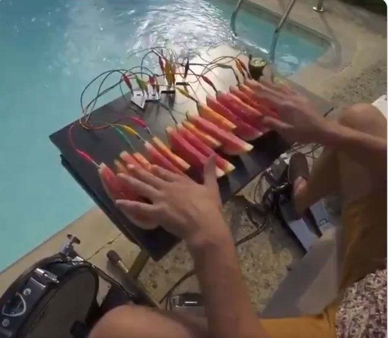 खरबूजे के टुकड़ों से संगीत निकाल रहा यह शख्स