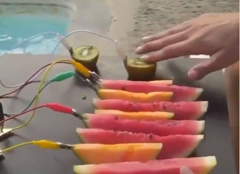 खरबूजे के टुकड़ों से संगीत निकाल रहा यह शख्स