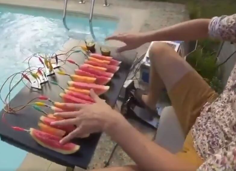 खरबूजे के टुकड़ों से संगीत निकाल रहा यह शख्स