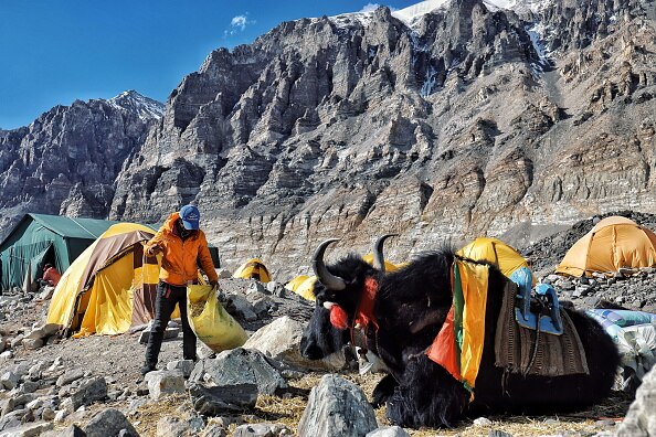 जानवरों से जासूसी करवाते हैं दुश्मन