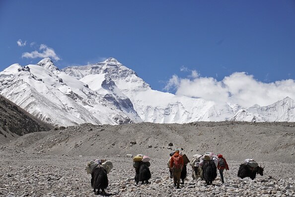 जानवरों से जासूसी करवाते हैं दुश्मन