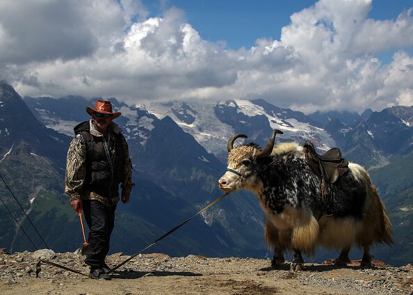 जानवरों से जासूसी करवाते हैं दुश्मन