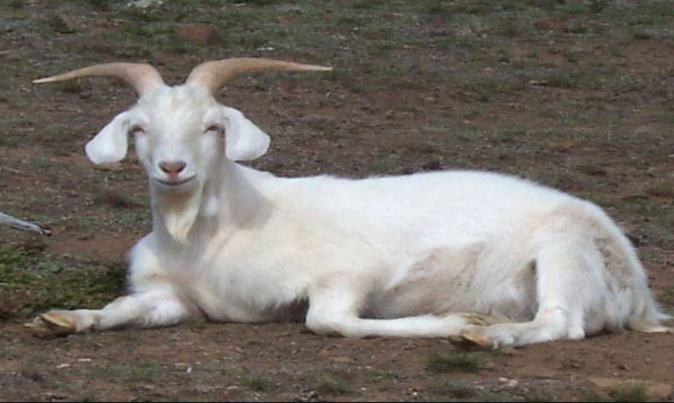 सांकेतिक तस्वीर