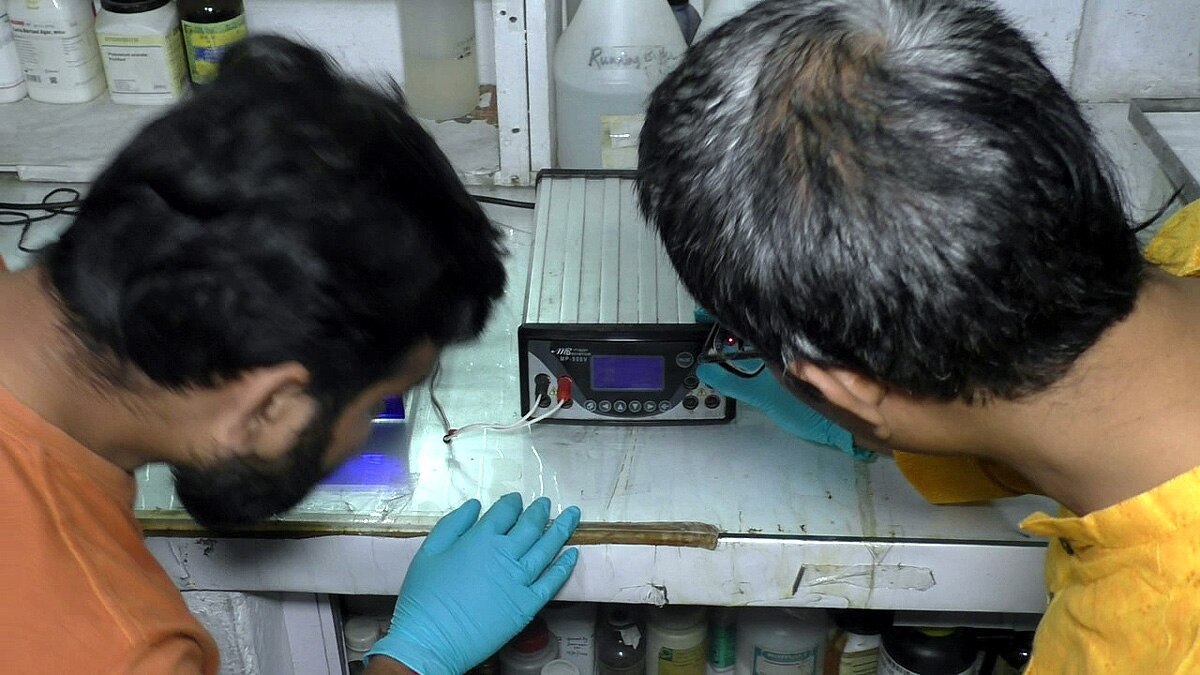 Indian Covid-19 Recovery rate due to higher ACE 2 Gene