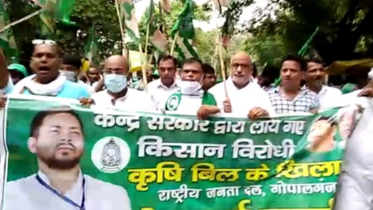 बिहार के गोपालगंज में  कृषि बिल के विरोध में RJD कार्यकर्ताओं ने सोशल डिस्टेंसिंग की धज्जियां उड़ाई.