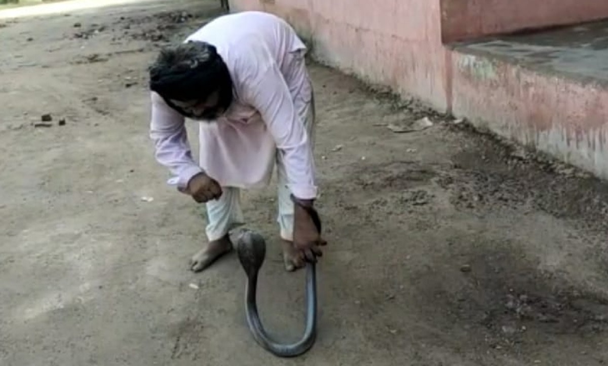 सरकारी अस्पताल में अचानक घुस गया कोबरा