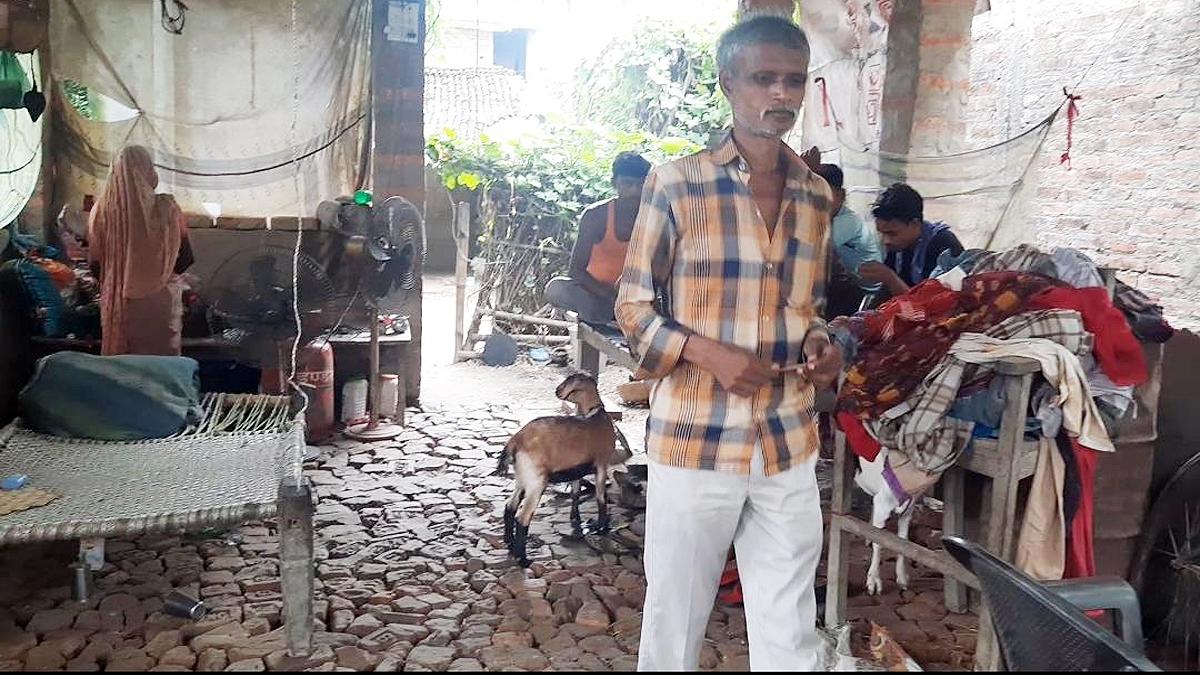  Scam in Animal Shed Scheme In Muzaffarpur Bihar Election