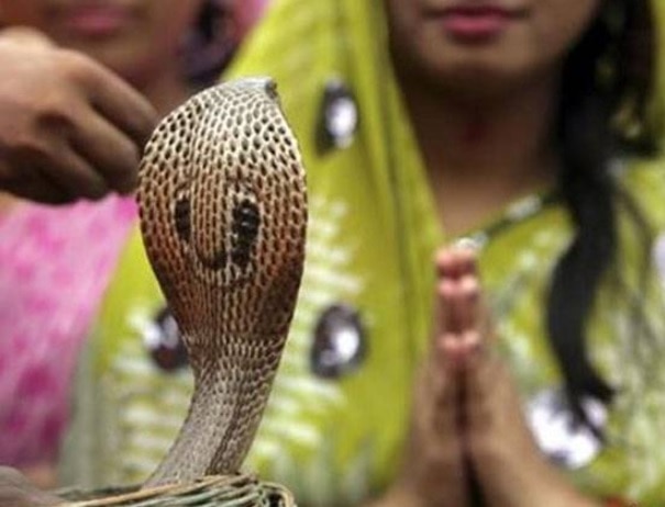 युवक करने लगा नाग की तरह हरकत, कहा- 12 बजे ले जाएगी नागिन, घंटों चला अफवाह का खेल.