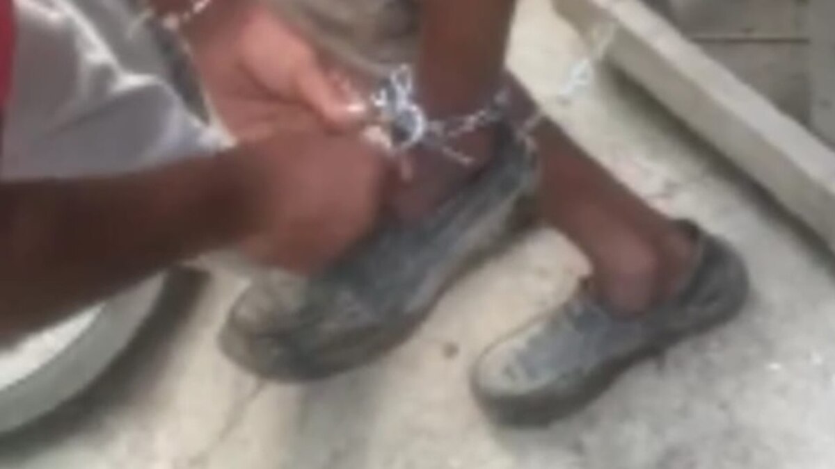 65 साल के बुजुर्ग को तबेले में जंजीरों से बांधा और की पिटाई, भतीजे के जुल्म की सुनाई आपबीती