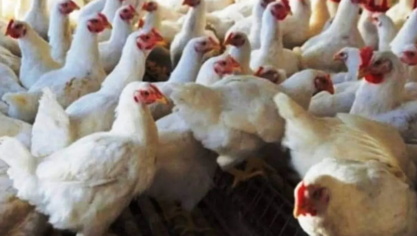 सांकेतिक तस्वीर