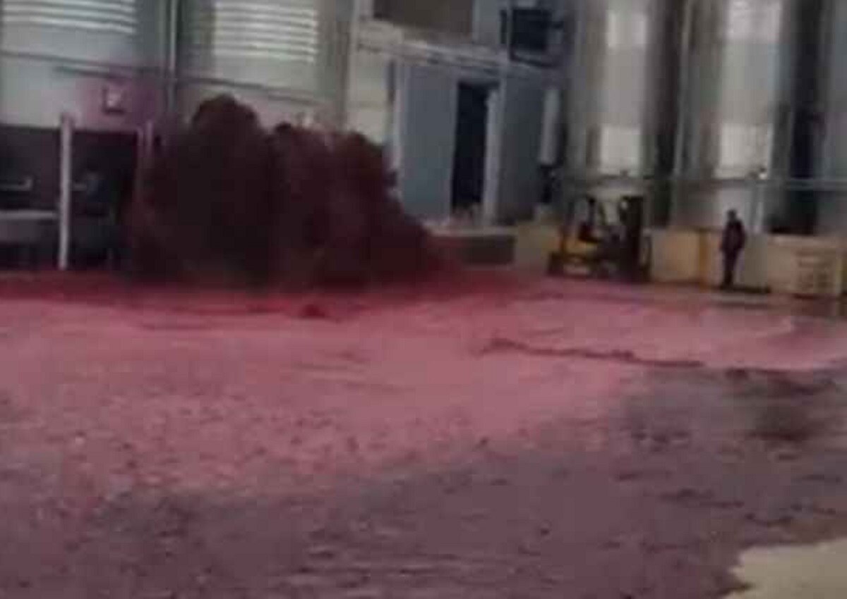 पानी की तरह बही 50 हजार लीटर रेड वाइन