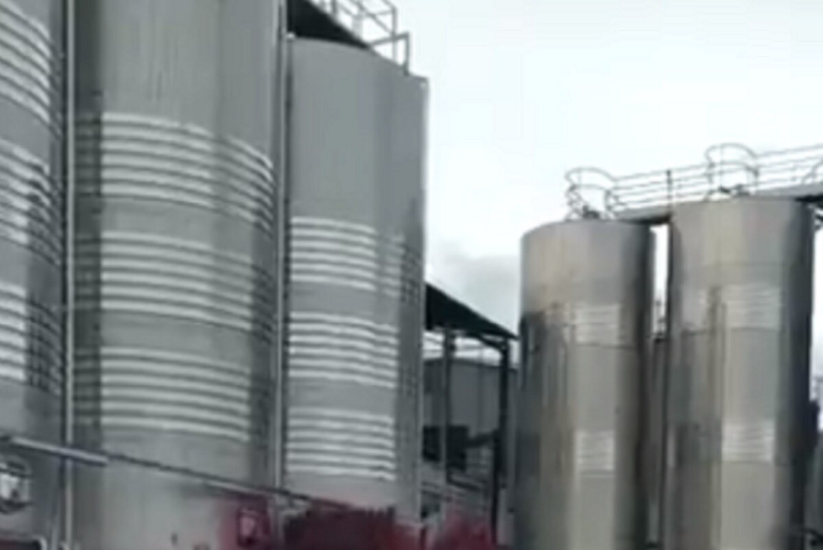 पानी की तरह बही 50 हजार लीटर रेड वाइन