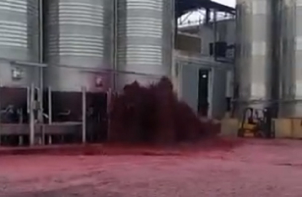 पानी की तरह बही 50 हजार लीटर रेड वाइन