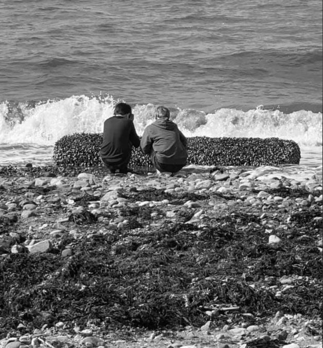 समुद्री जीव