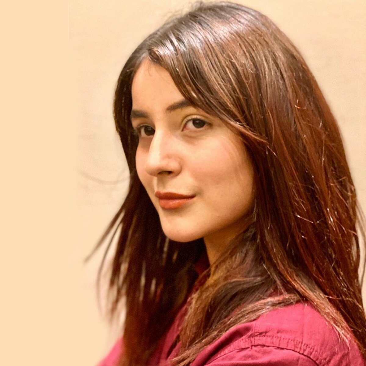 शहनाज गिल