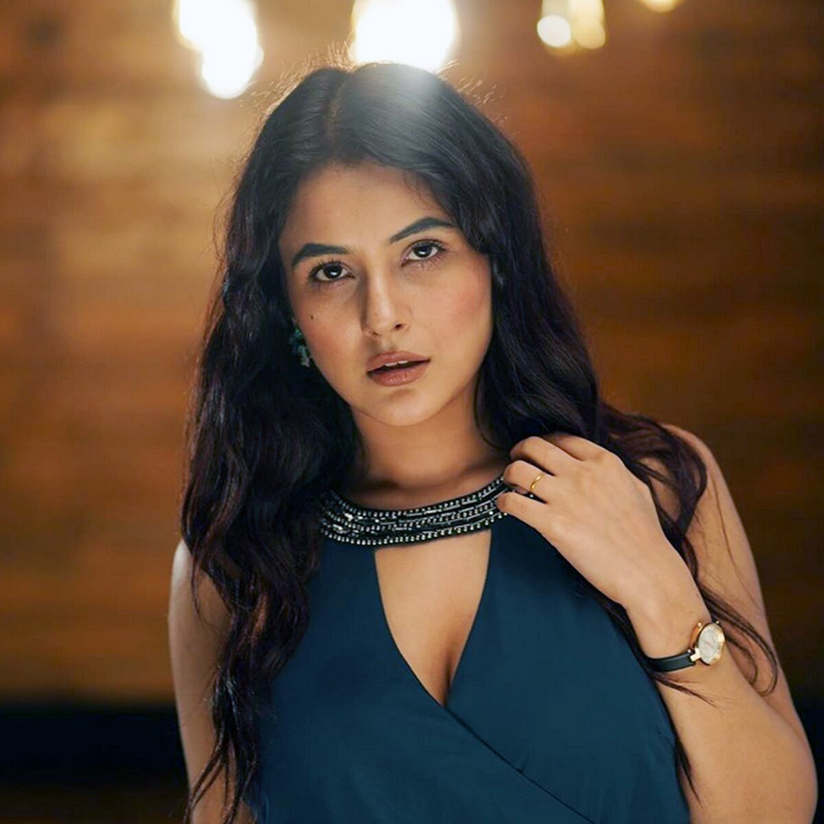 शहनाज गिल