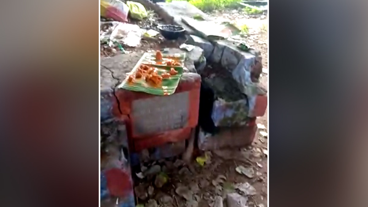 सांप को मारकर खाने का वीडियो सोशल मीडिया पर वायरल 