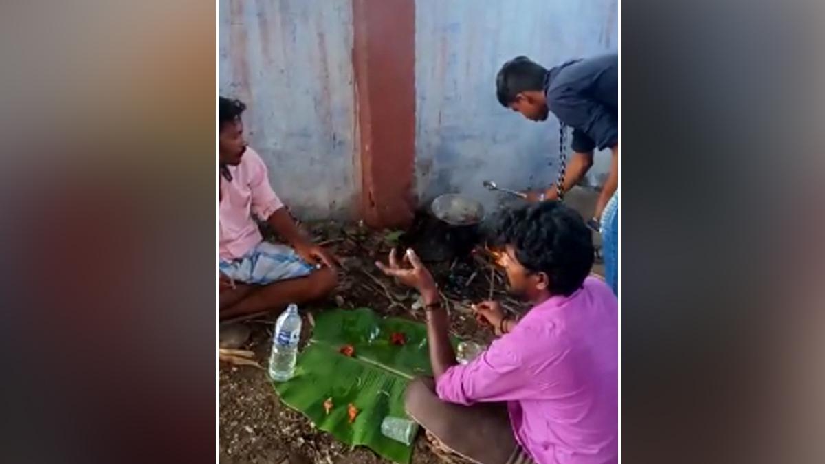 सांप को मारकर मसाला लगाकर खाया.