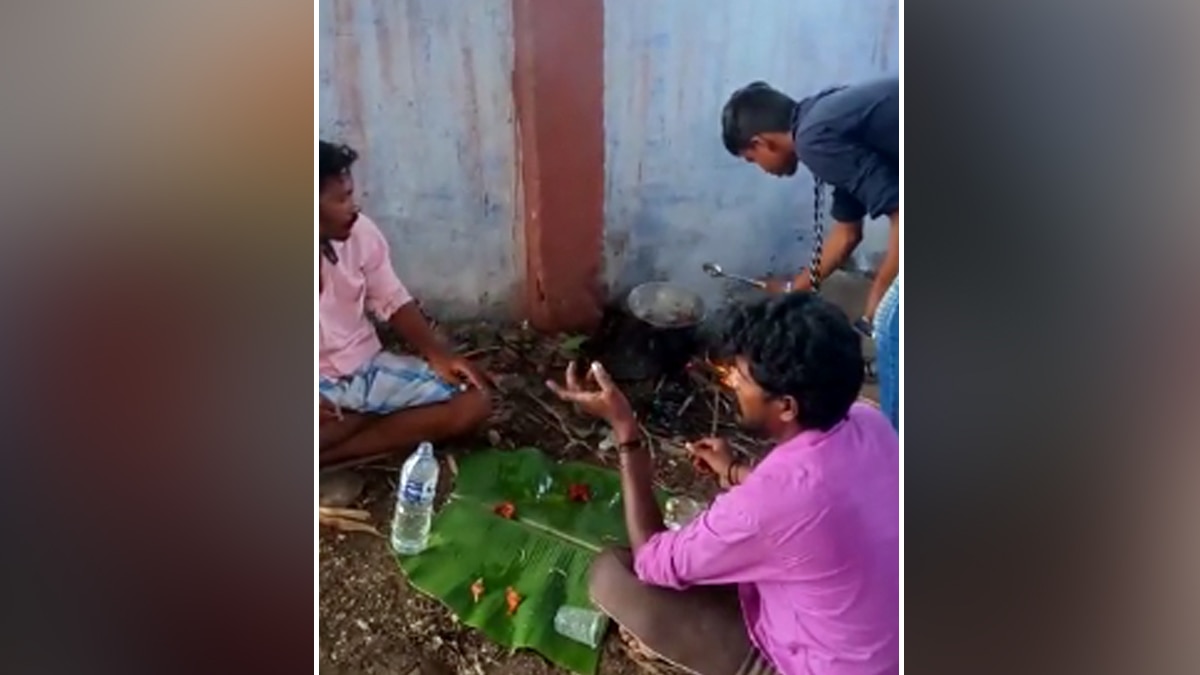 सांप को मारकर खाने का वीडियो सोशल मीडिया पर वायरल 