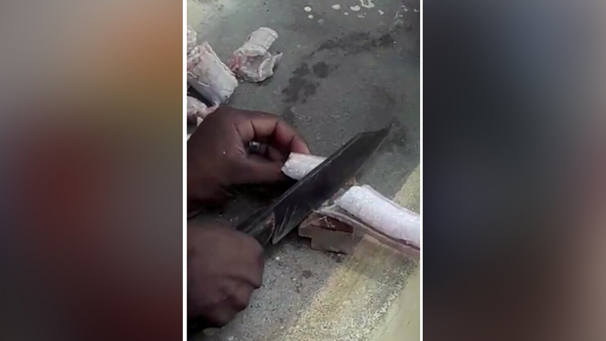 सांप को मारकर खाने का वीडियो सोशल मीडिया पर वायरल 