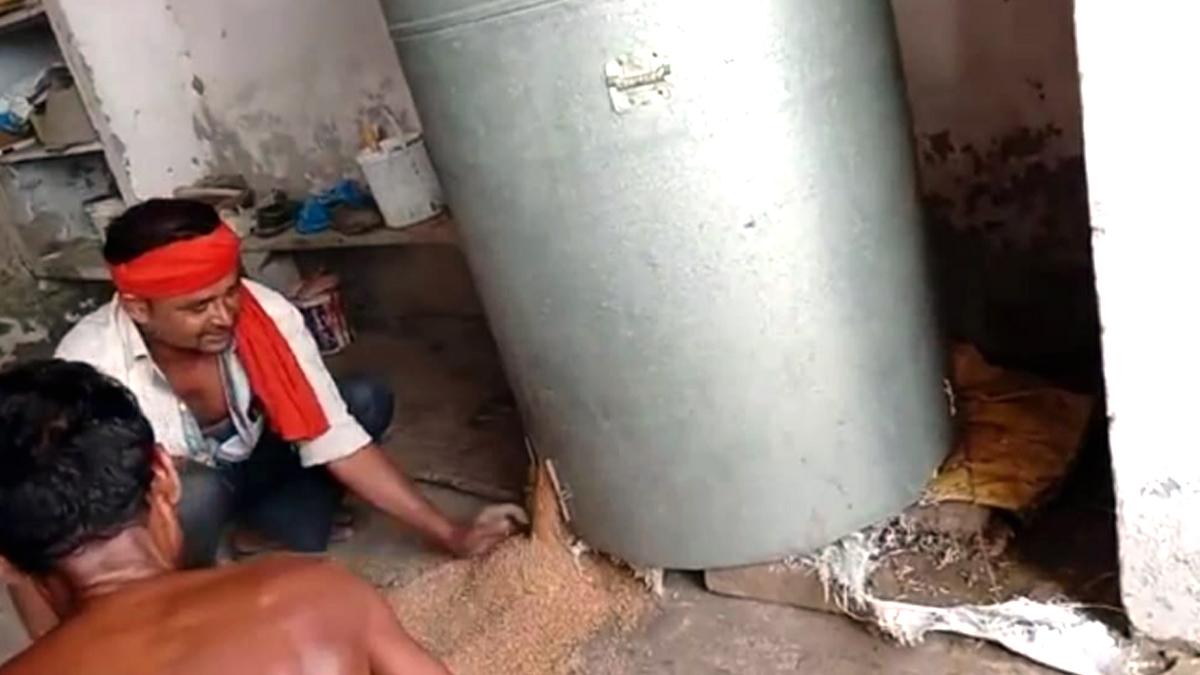 Snake found in drum.