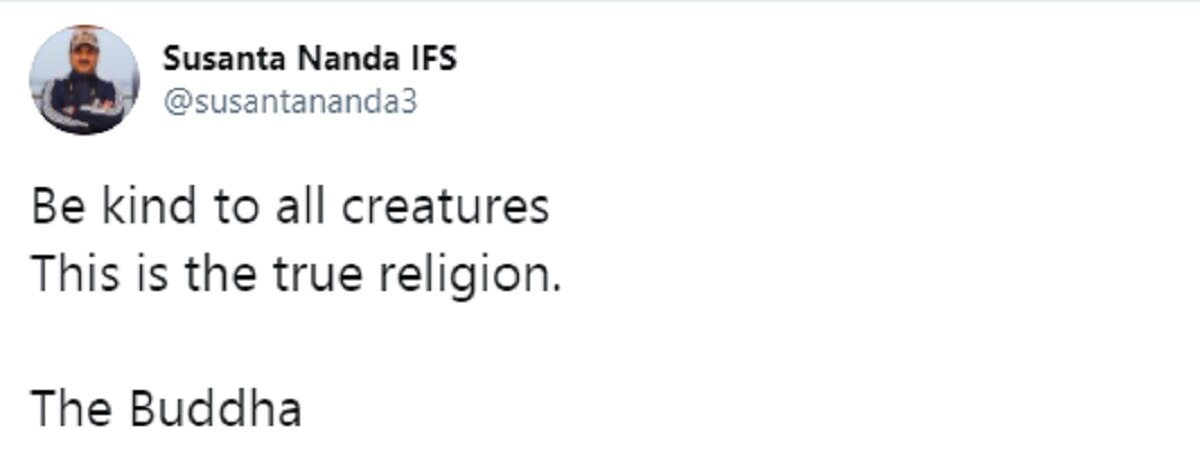 महिला के हाथ से केला खा रही गिलहरी