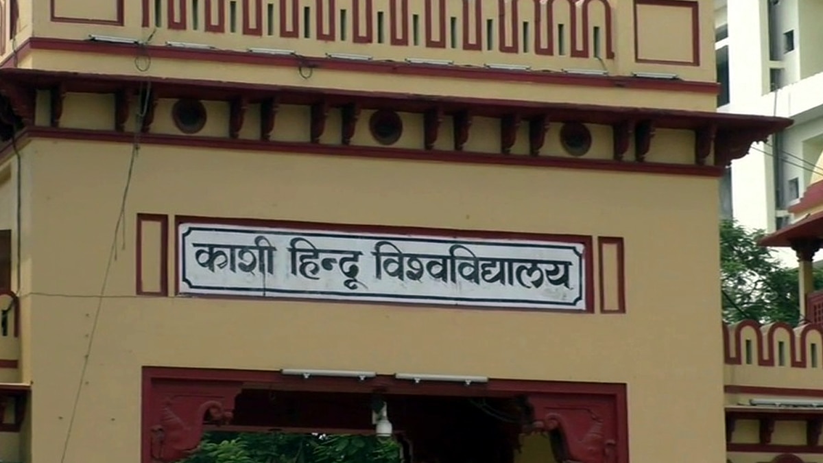 Suckermouth catfish found in Ganga. Suckermouth catfish found in Ganga.
