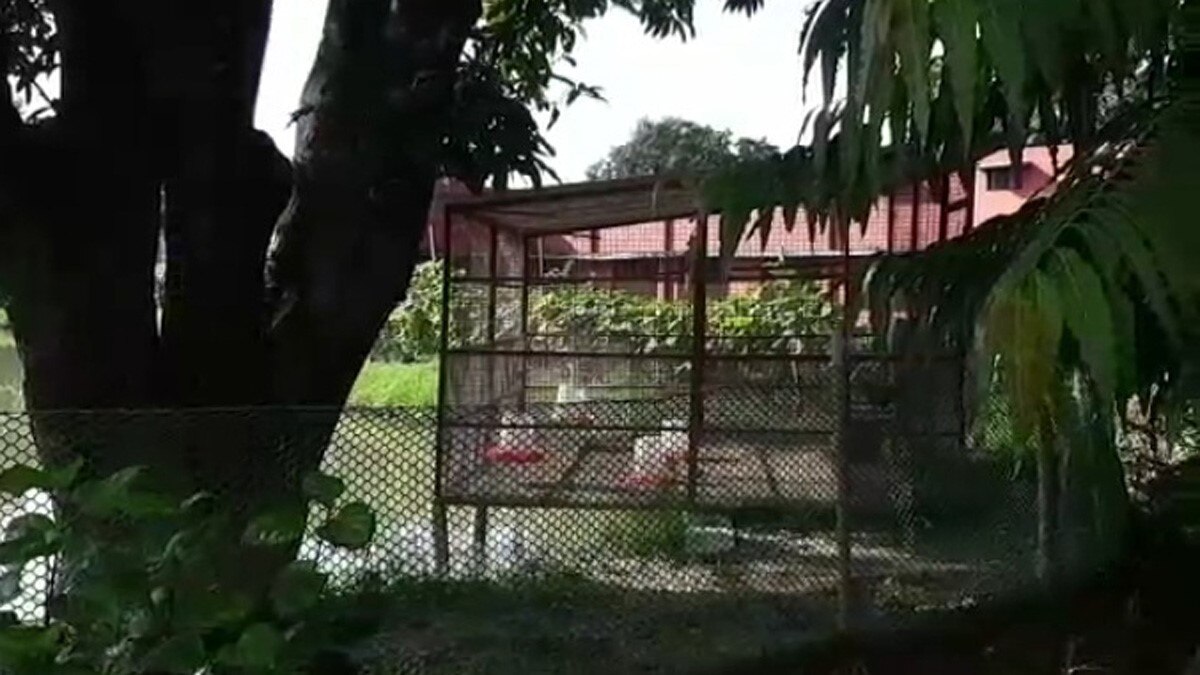 तलाब में इंजीनियर ने पाली मछलियां (फोटो आजतक)