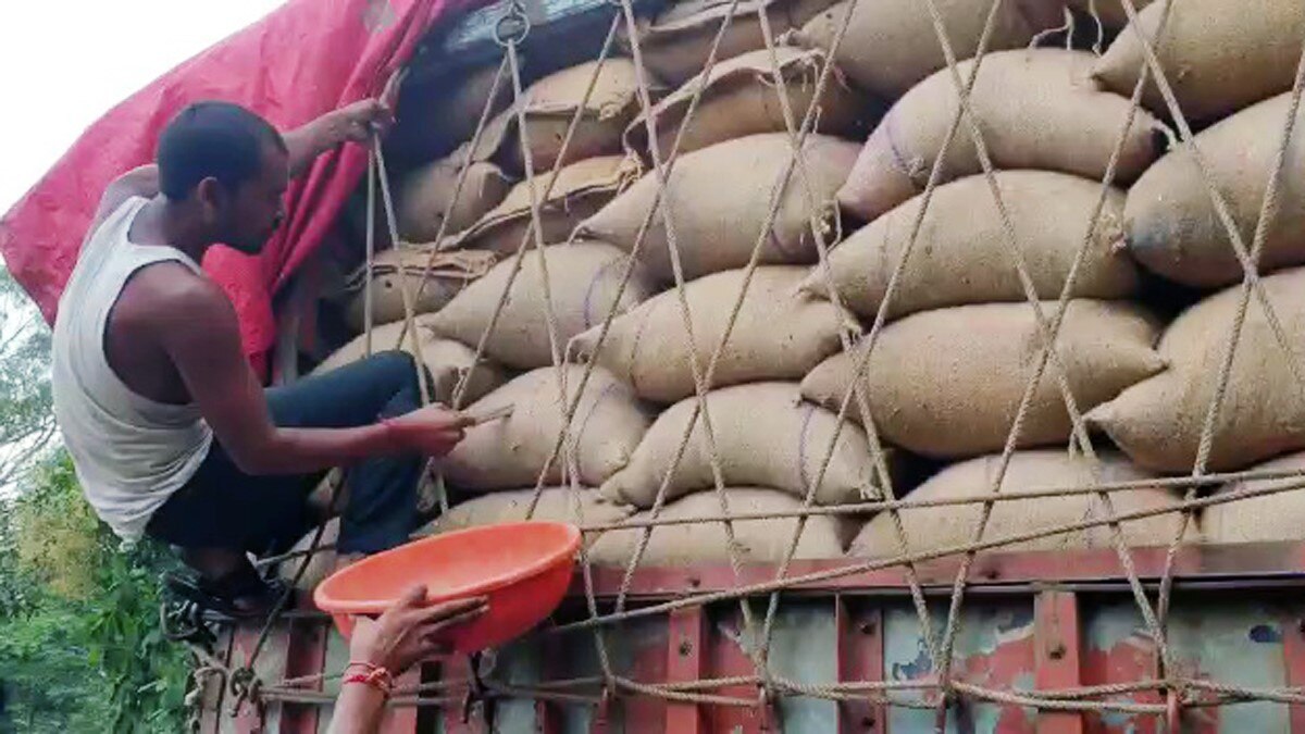 फफूंद लगा चना बरामद (फोटो आजतक)