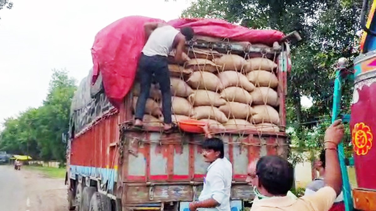 फफूंद लगा चना बरामद (फोटो आजतक)