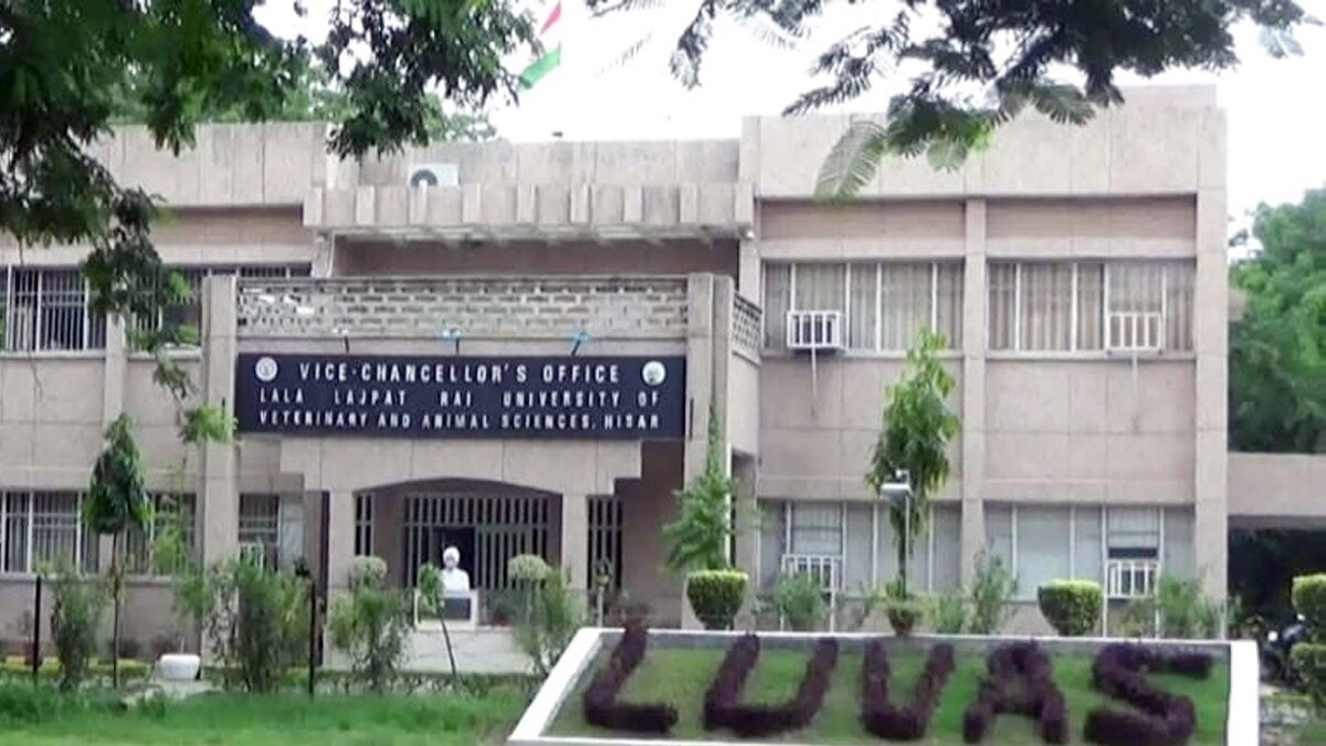 लुवास (फोटो आजतक)