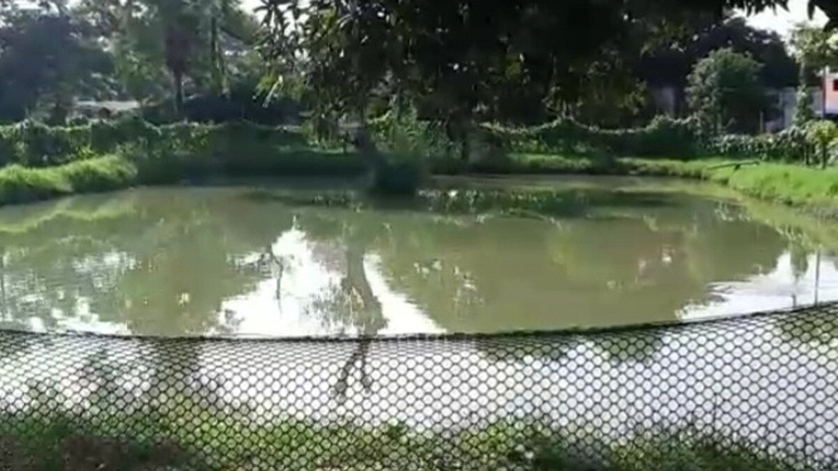 तलाब में इंजीनियर ने पाली मछलियां (फोटो आजतक)