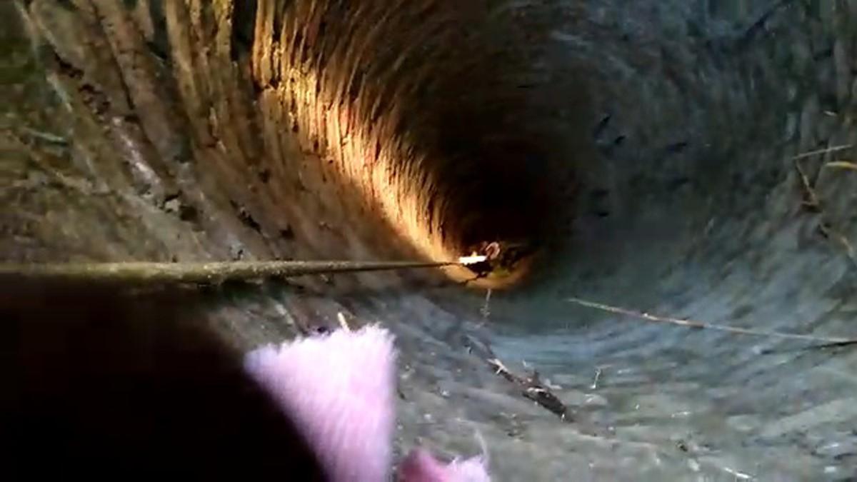 40 फीट गहरे सूखे कुएं में गिरा 13 साल का लड़का (फोटो आजतक)