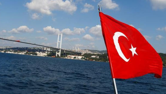 Turkey Turkey