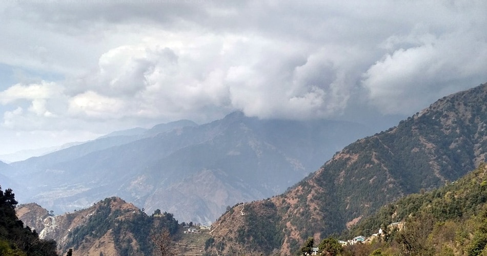 विभाग को दें जानकारी