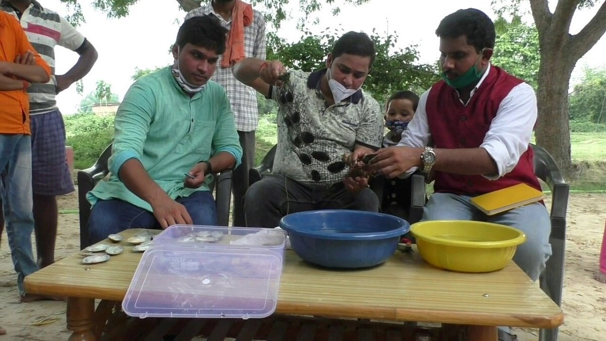 तीन दोस्तों ने नौकरी छोड़ी अब कर रहे सीप की खेती