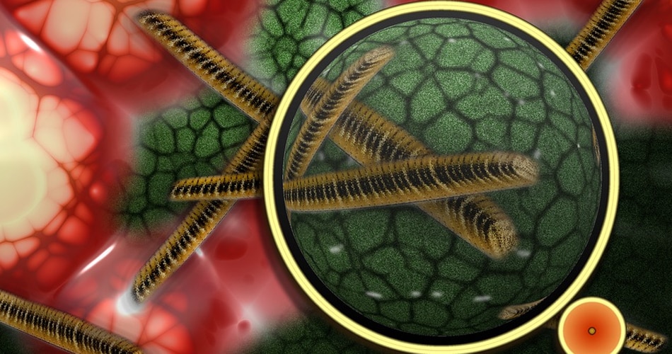 क्या निकला स्टडी में