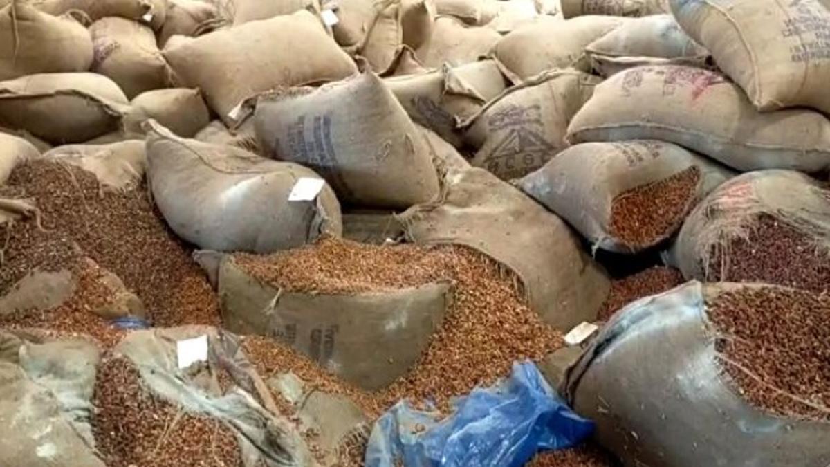 गरीबों को बांटे जाने वाला 6 करोड़ का चना और गेहूं बाढ़ की भेट चढ़ा.