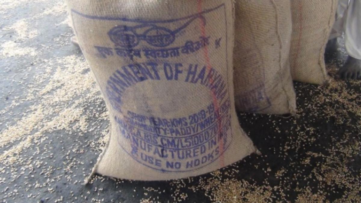 रक्सौल के रेलवे माल गोदाम से एफसीआई भेजा जा रहा गला-सड़ा गेहूं.