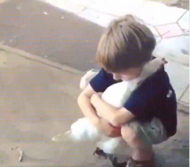 मासूम बच्चे ने एक मुर्गी को किया हग
