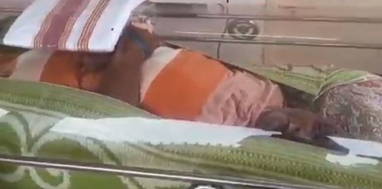 बुजुर्ग को परिजनों ने फ्रीजर बॉक्स में रखा बुजुर्ग को परिजनों ने फ्रीजर बॉक्स में रखा