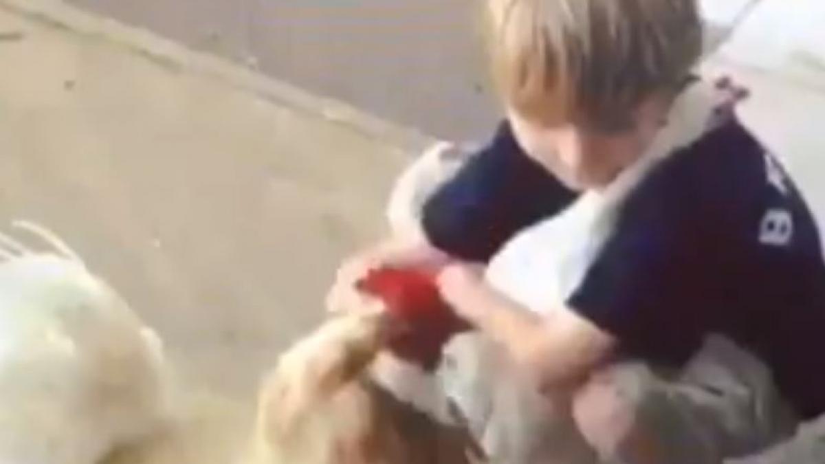 मासूम बच्चे ने एक मुर्गी को किया हग