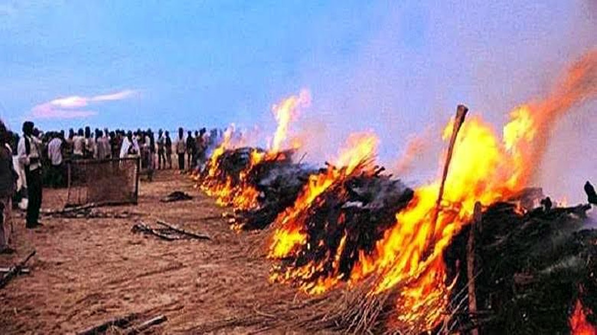 Bihar Caste based massacre Election