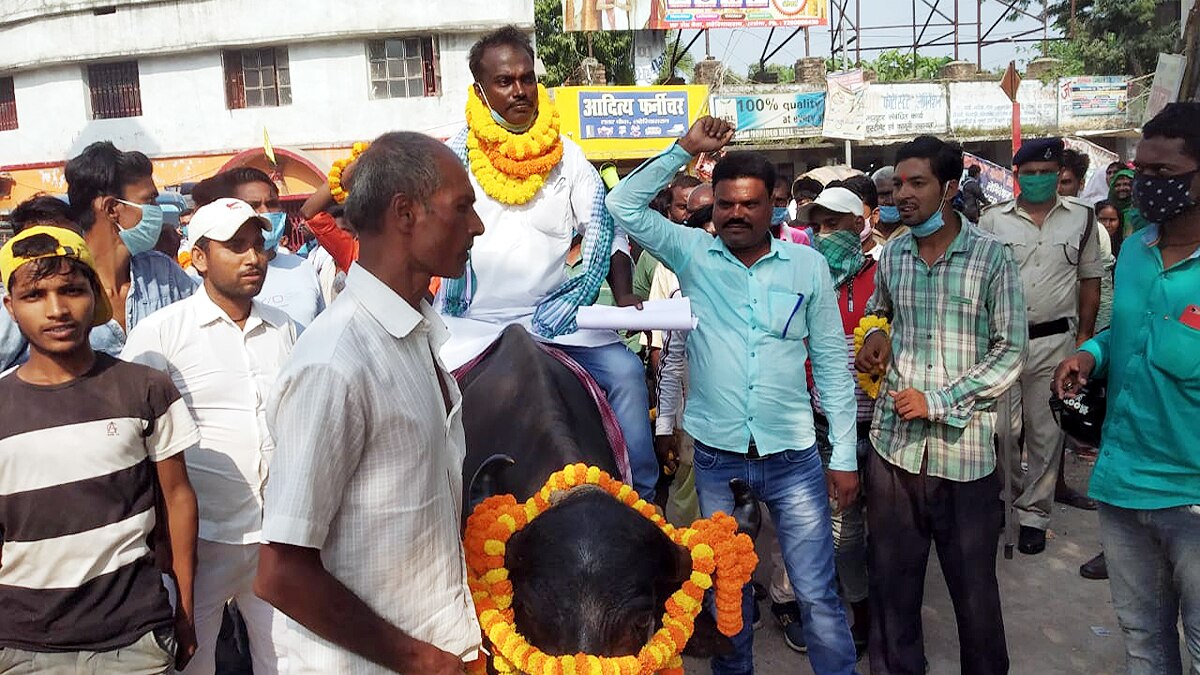 Darbhanga Candidate ride on Buffalo for Nomination