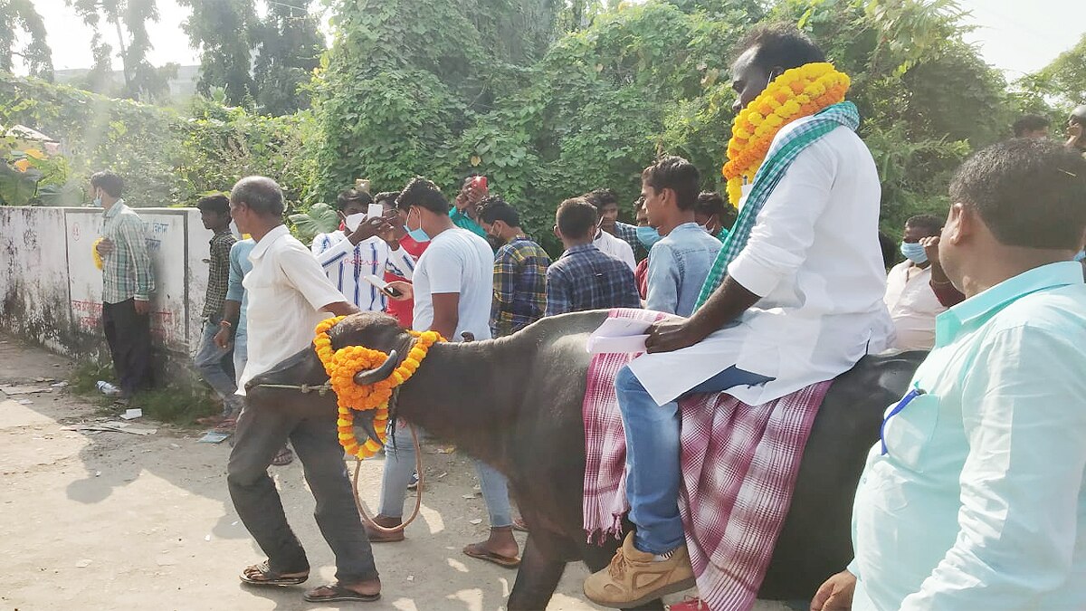 Darbhanga Candidate ride on Buffalo for Nomination