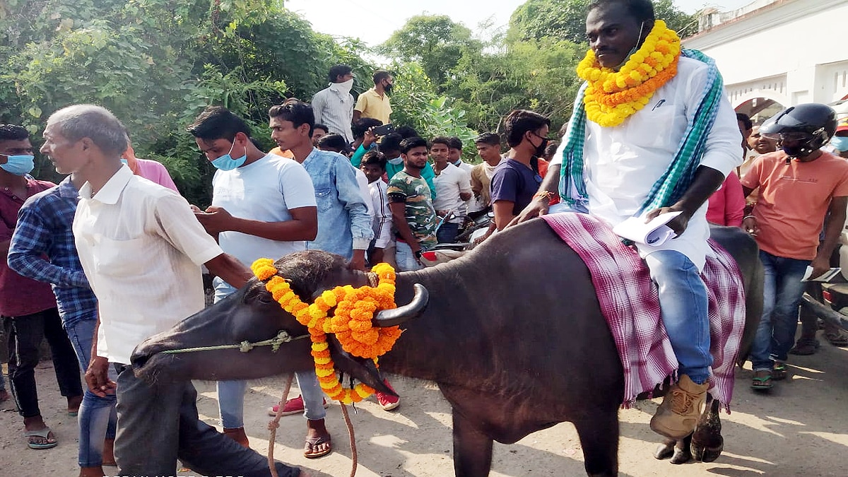 Darbhanga Candidate ride on Buffalo for Nomination