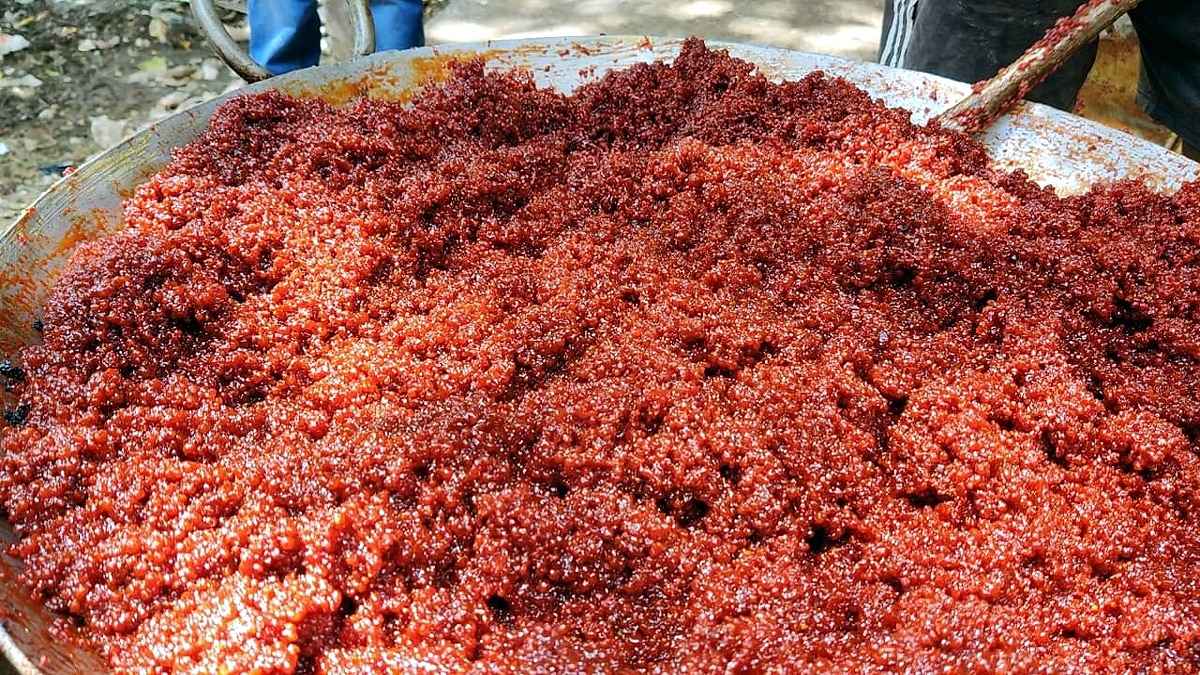 Rohtas Chenari Laddu