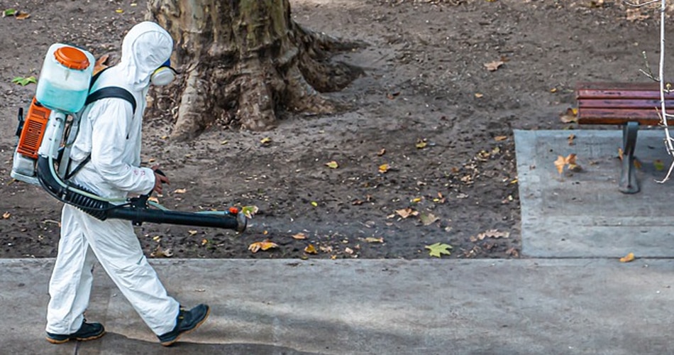 छोटे स्तर पर ट्रायल करने का आदेश