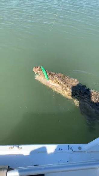  हुक में जो फंसा वो देखकर बुरी तरह डरे लोग